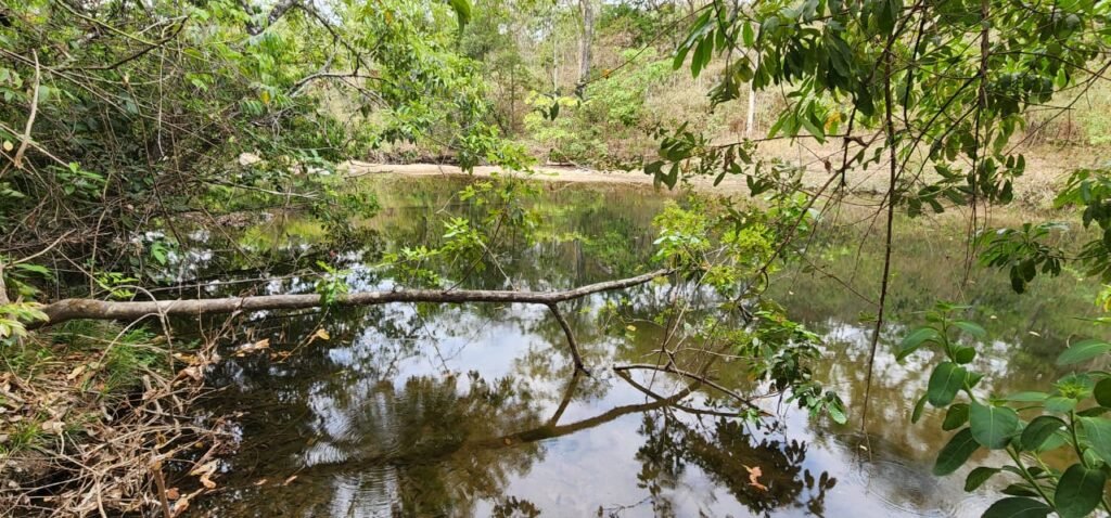 Chácara 4ha Beira Rio São Miguel – 17km de São Jorge – Chapada dos Veadeiros