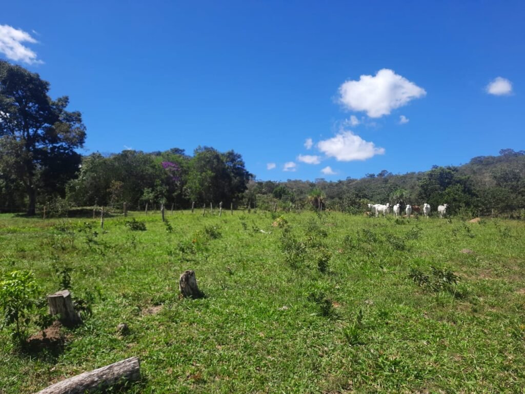 Chácara 2.7 Alq. – Povoado Bandeira – Rio – Nascente – 24km de Alto Paraíso de Goiás