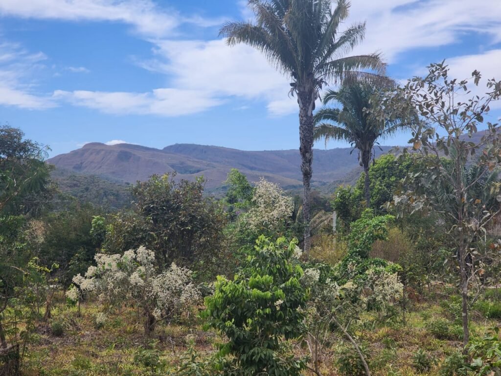 Lotes de 800 a 974m2 m2 –  Condomínio Indaía – Alto Paraíso de Goiás