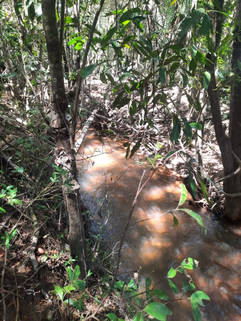 Chácara 2.7 Alq. – Povoado Bandeira – Rio – Nascente – 24km de Alto Paraíso de Goiás
