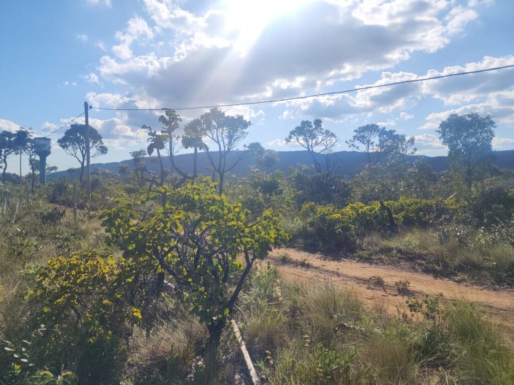 Vende-se Lote 2.700m2 – Alto Paraíso de Goiás