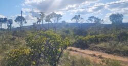 Vende-se Lote 2.700m2 – Alto Paraíso de Goiás Vende-se Lote 2.700m2 – Alto Paraíso de Goiás