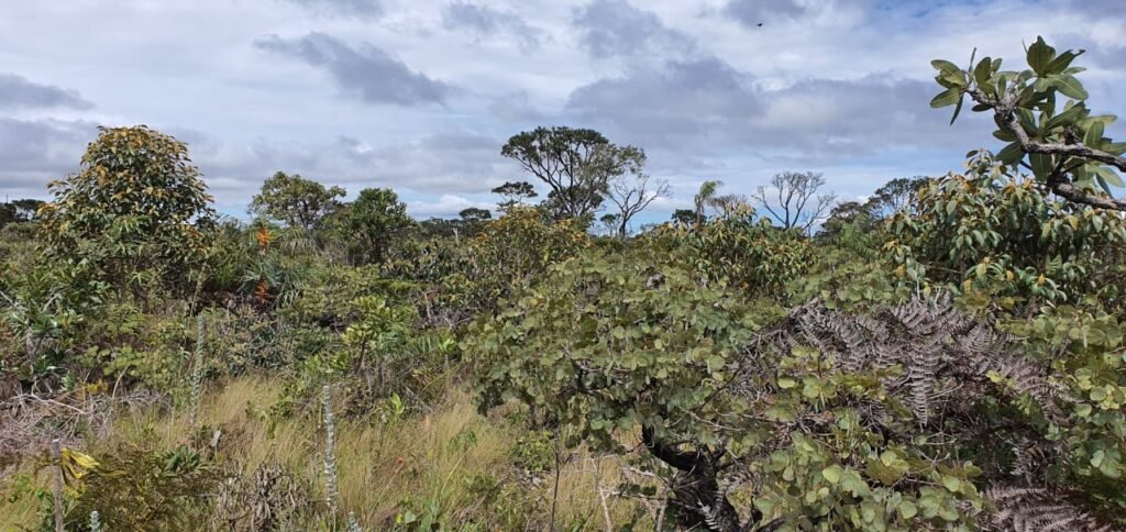 Vende-se Lote 2.700m2 – Alto Paraíso de Goiás