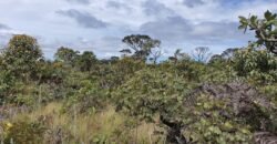 Vende-se Lote 2.700m2 – Alto Paraíso de Goiás Vende-se Lote 2.700m2 – Alto Paraíso de Goiás