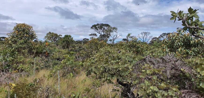 Vende-se Lote 2.700m2 – Alto Paraíso de Goiás