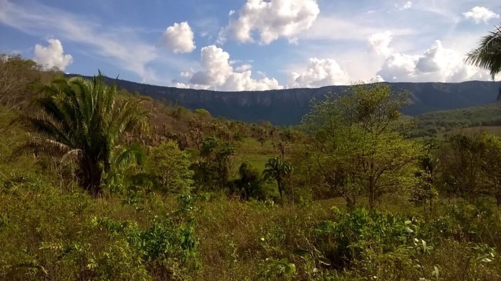 Chácara 14,6ha- Linda Vista – Poço artesiano – na Fazenda Santa Rita – 14km de Alto Paraíso de Goiás