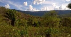 Chácara 14,6ha- Linda Vista – Poço artesiano – na Fazenda Santa Rita – 14km de Alto Paraíso de Goiás Chácara 14,6ha- Linda Vista – Poço artesiano – na Fazenda Santa Rita – 14km de Alto Paraíso de Goiás