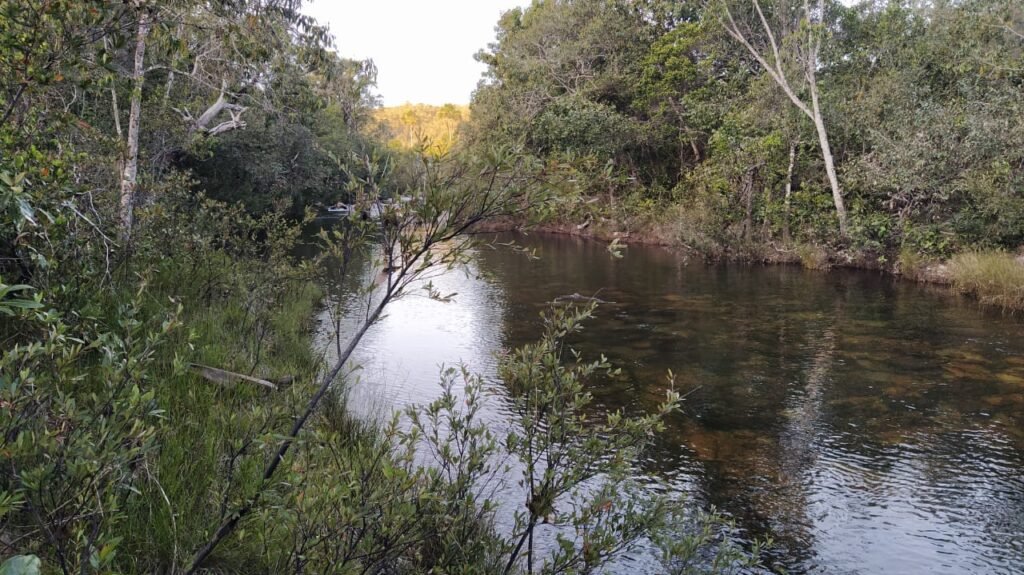 Chácara 4ha – Rio dos Couros – Lofth Ecológico Arco Iris- KM 12 – Alto Paraíso e São jorge