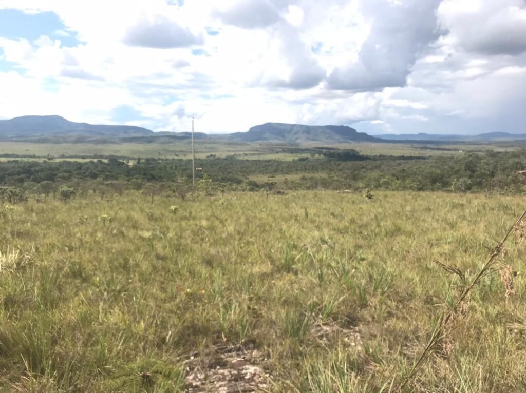 Propriedadee – 7ha – 12km de Alto Paraíso sentido São Jorge – Escritura e Registro Imobiliário – Chapada dos Veadeiros