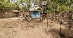 Fazenda 51ha – Beira Rio – Sertão – Alto Paraíso de Goiás