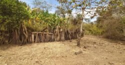 Fazenda 51ha – Beira Rio – Sertão – Alto Paraíso de Goiás