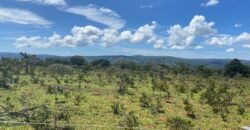 Chácara 4ha – Poço artesiano – 5km de Alto Paraíso sentido Cachoeira dos Cristais – Chapada dos Veadeiros