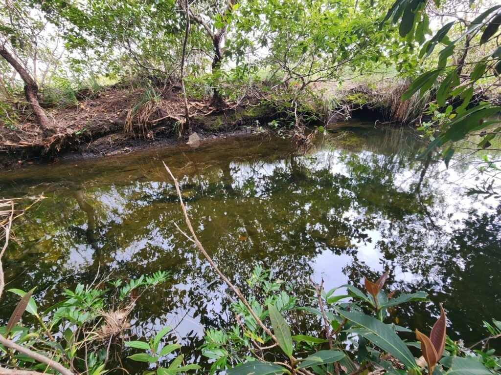 Chácara – Porteira Fechada – Rio – 5.7ha -Vale Verde – Alto Paraíso de Goiás
