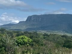 Chácara 4ha – acesso rio – 5 km de Teresinha – 15 km de Cavalcante – Chapada dos Veadeiros