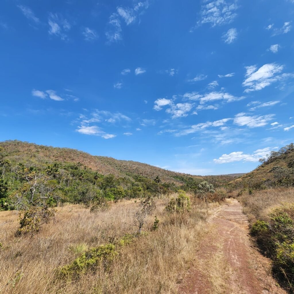 Fazenda 100ha- Rio – Casa Sede – 13km de Alto Paraíso e 1km de Terra