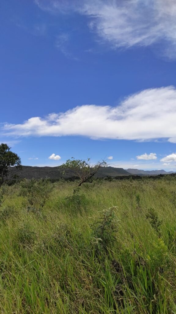 Área 4.7ha – Fazenda São Bento – Margem GO 239 – 7 km de Alto Paraíso sentido São Jorge