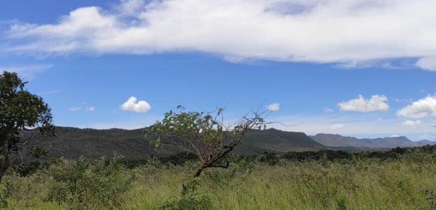 Área 4.7ha – Fazenda São Bento – Margem GO 239 – 7 km de Alto Paraíso sentido São Jorge