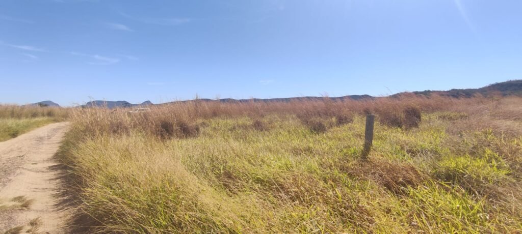 Chácara 5ha – na  Fazenda São Bento – entre Alto Paraíso e São Jorge