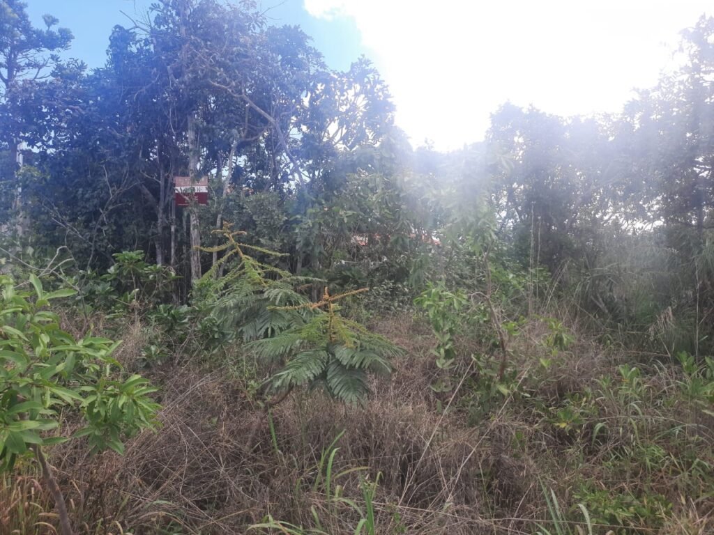 Lote 528m2 – R. Cadido Paulino – Eldorado – Alto Paraíso