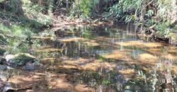 Maravilhosa Casa na Natureza – Condomínio Rural – 2 km do Centro de Alto Paraíso de Goiás Maravilhosa Casa na Natureza – Condomínio Rural – 2 km do Centro de Alto Paraíso de Goiás