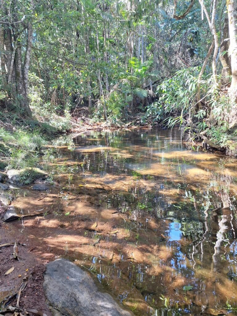 Maravilhosa Casa na Natureza – Condomínio Rural – 2 km do Centro de Alto Paraíso de Goiás