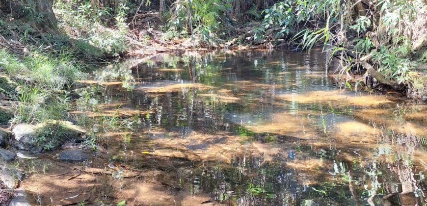 Maravilhosa Casa na Natureza – Condomínio Rural – 2 km do Centro de Alto Paraíso de Goiás