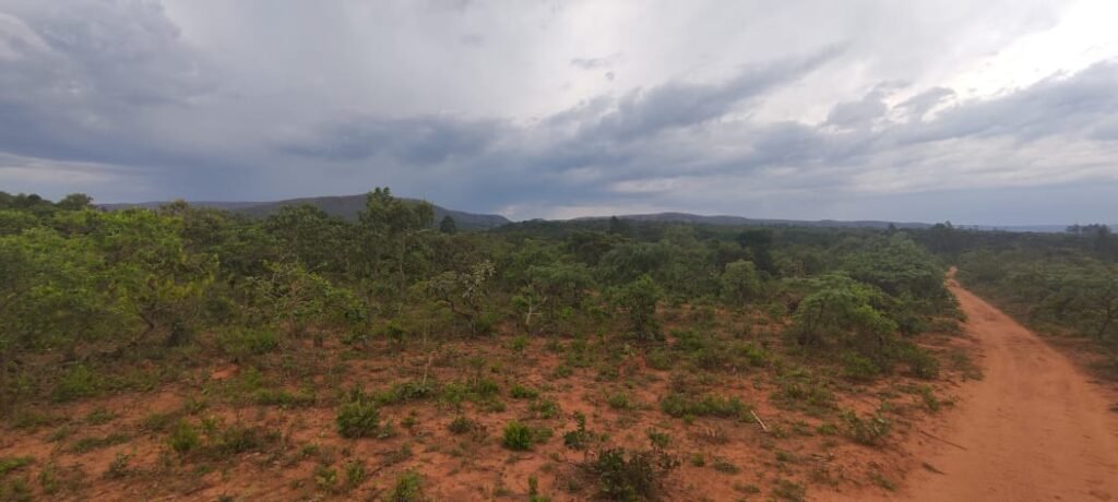 Maravilhosa Chácara 20ha – Recifra – Alto Paraíso de Goiás