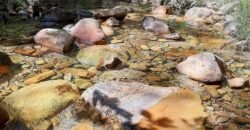 Casa – Rio – Loquinhas – Alto Paraíso de Goiás Casa – Rio – Loquinhas – Alto Paraíso de Goiás