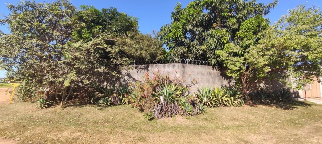 Casa – Quintal com Fruteiras – Monte Sinai – Alto Paraíso de Goiás