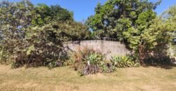 Casa – Quintal com Fruteiras – Monte Sinai – Alto Paraíso de Goiás