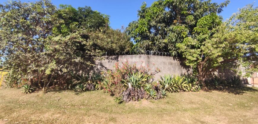 Casa – Quintal com Fruteiras – Monte Sinai – Alto Paraíso de Goiás