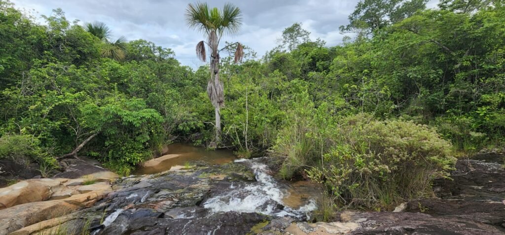 Fazenda 76 ha – Cachoeira – 12km Teresina de Goiás – Chapada dos Veadeiros