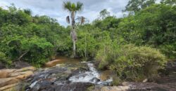 Fazenda 76 ha – Cachoeira – 12km Teresina de Goiás – Chapada dos Veadeiros