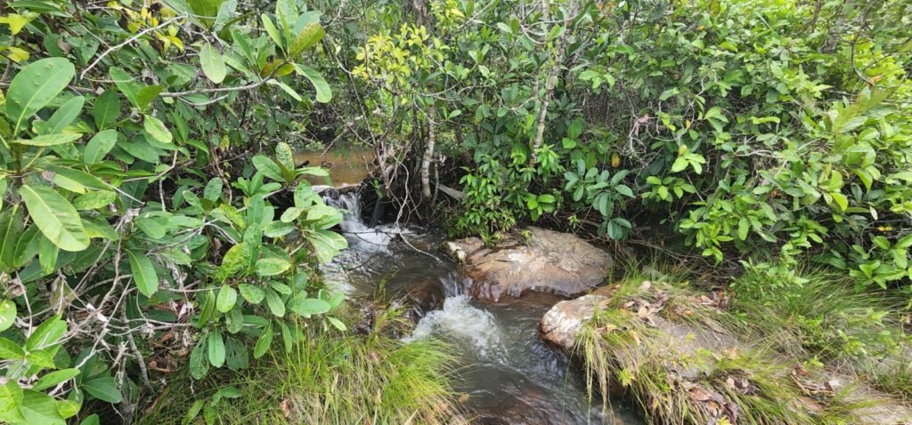 Fazenda 76 ha – Cachoeira – 12km Teresina de Goiás – Chapada dos Veadeiros