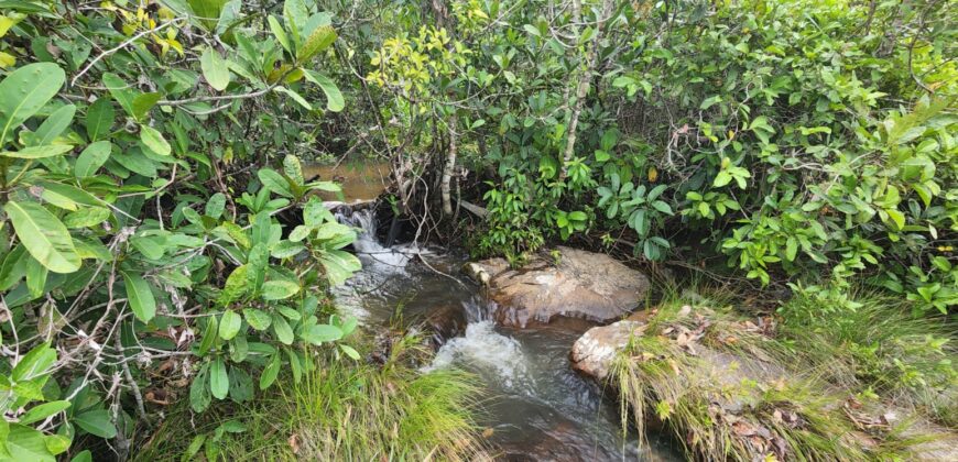 Fazenda 76 ha – Cachoeira – 12km Teresina de Goiás – Chapada dos Veadeiros