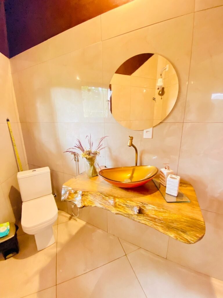 Pousada – Rio – Poço para Banho – Moinho – 4.000m2 – 12km de Alto Paraíso de Goiás