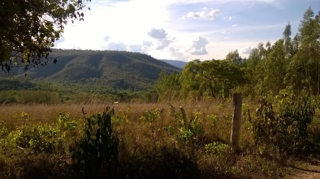 Chácara 14,6ha- Linda Vista – Poço artesiano – na Fazenda Santa Rita – 14km de Alto Paraíso de Goiás