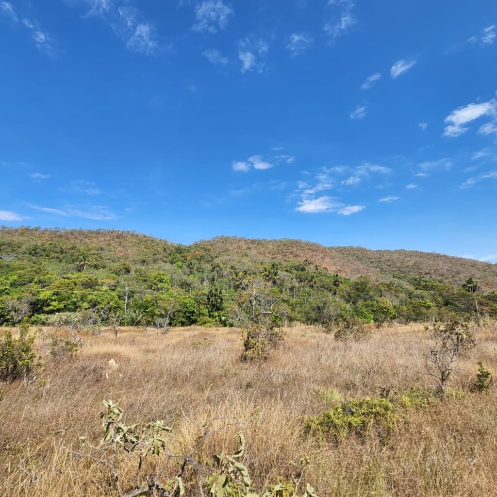 Fazenda 100ha- Rio – Casa Sede – 13km de Alto Paraíso e 1km de Terra