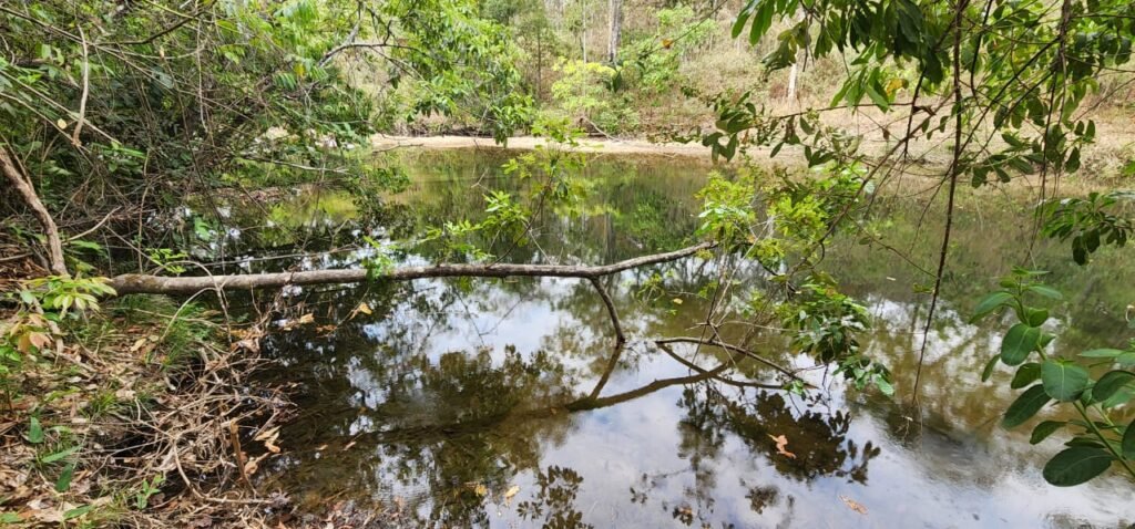 Chácara 11ha Beira Rio São Miguel – 17km de São Jorge – Chapada dos Veadeiros