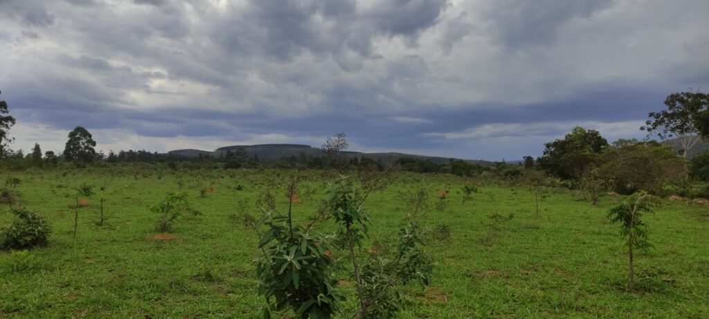 Maravilhosa Chácara 20ha – Recifra – Alto Paraíso de Goiás
