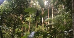 Lotes de 800 a 974m2 m2 –  Condomínio Indaía – Alto Paraíso de Goiás