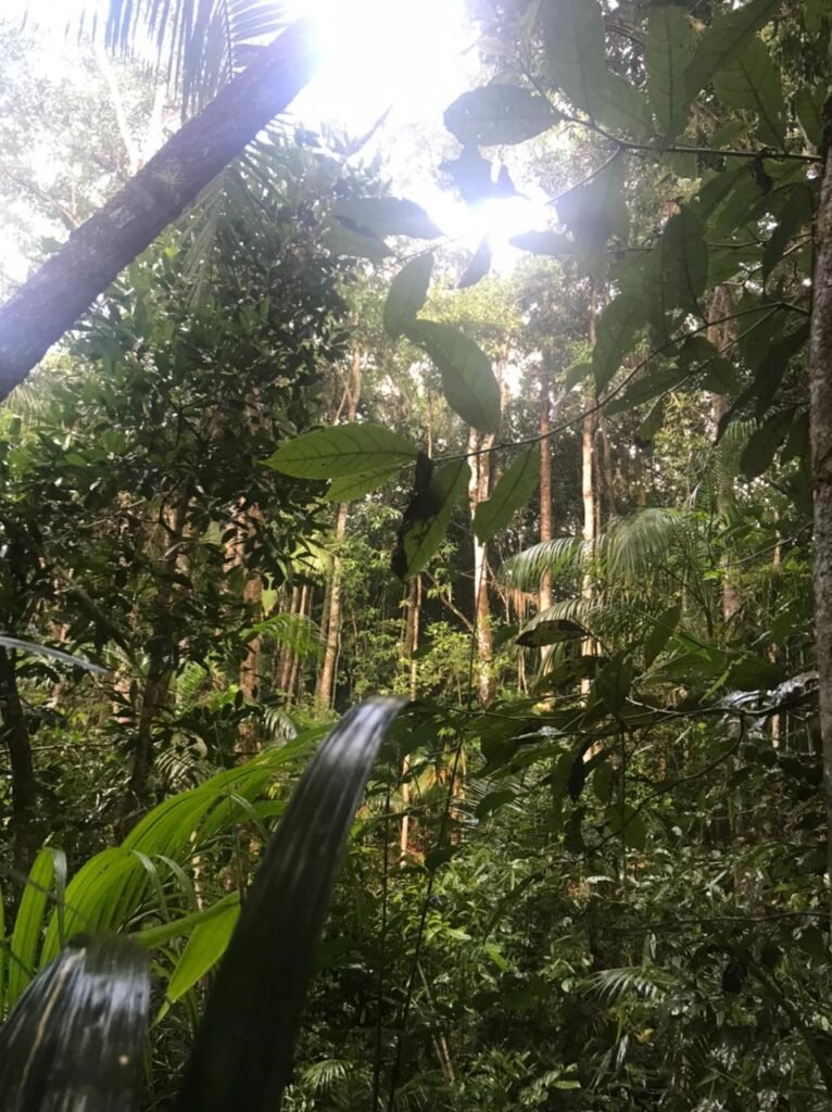 Lotes de 800 a 974m2 m2 –  Condomínio Indaía – Alto Paraíso de Goiás