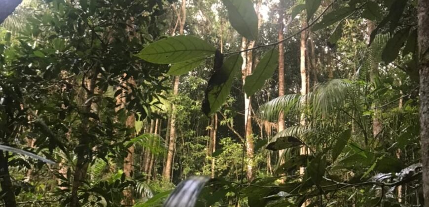 Lotes de 800 a 974m2 m2 –  Condomínio Indaía – Alto Paraíso de Goiás