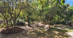 Oportunidade Exclusiva! Pousada à Venda em Cavalcante – Lote 2.000 m2 – Chapada dos Veadeiros Oportunidade Exclusiva! Pousada à Venda em Cavalcante – Lote 2.000 m2 – Chapada dos Veadeiros