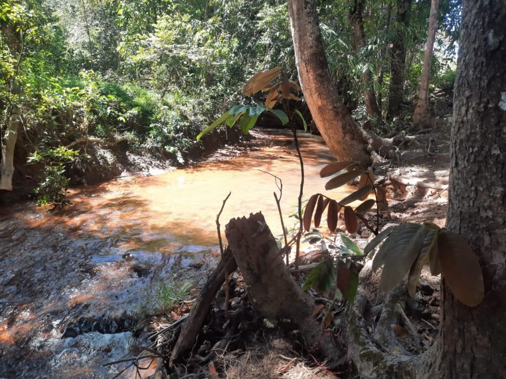 Chácara 2.7 Alq. – Povoado Bandeira – Rio – Nascente – 24km de Alto Paraíso de Goiás