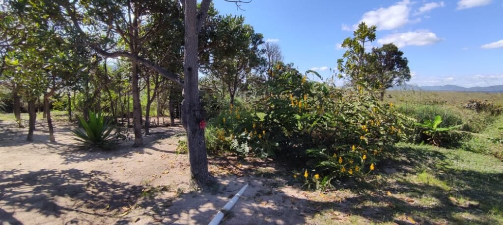 Pousada no Morro da Baleia – Alto Paraíso de Goiás – Chapada dos Veadeiros