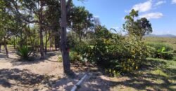 Pousada no Morro da Baleia – Alto Paraíso de Goiás – Chapada dos Veadeiros Pousada no Morro da Baleia – Alto Paraíso de Goiás – Chapada dos Veadeiros