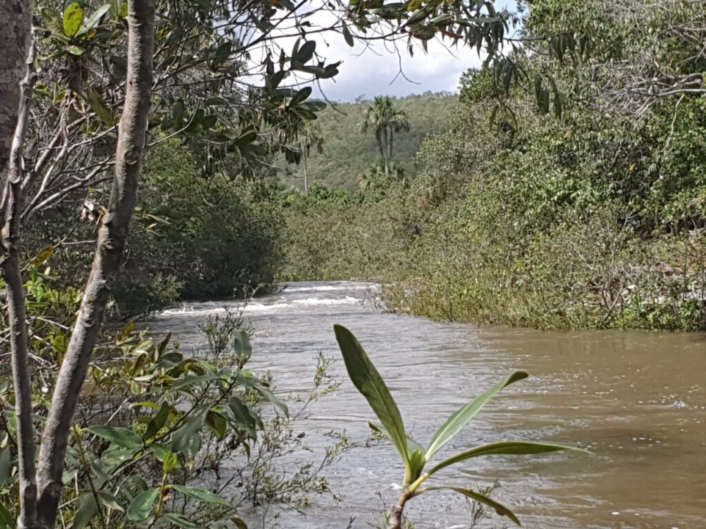 Chácara 4ha – Rio dos Couros – Lofth Ecológico Arco Iris- KM 12 – Alto Paraíso e São jorge