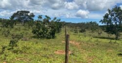 Chácara 4ha – Poço artesiano – 5km de Alto Paraíso sentido Cachoeira dos Cristais – Chapada dos Veadeiros