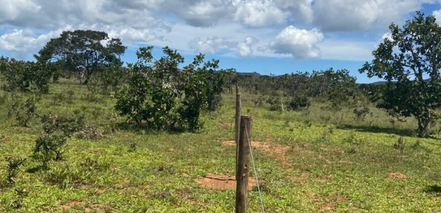Chácara 4ha – Poço artesiano – 5km de Alto Paraíso sentido Cachoeira dos Cristais – Chapada dos Veadeiros